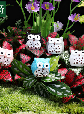 新品推荐 盆栽园艺小摆件猫头鹰 室内微景观绿植装饰品迷你小公仔