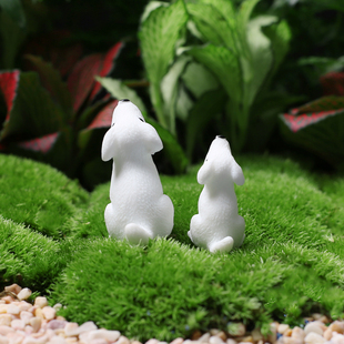 菁娇苔藓微景观DIY材料装饰品 多肉组合盆栽迷你小摆件白狗望月狗