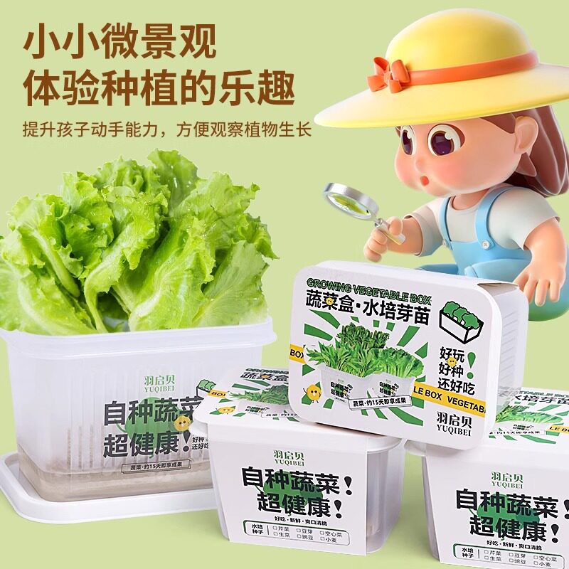 儿童种植小盆栽蔬菜种子植物观察盆栽生长发芽家庭水培豆芽可食用