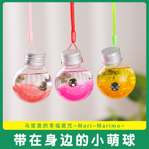marimo海藻球微景观生态瓶礼品
