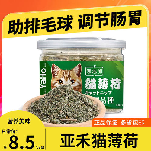 亚禾助排毛球清洁口腔猫薄荷