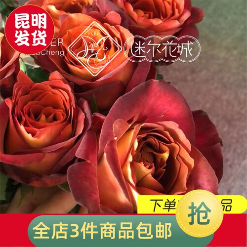 迷盆栽质量怎么样 迷盆栽口碑怎么样 小麦优选