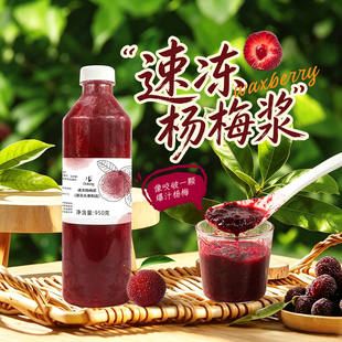 盾皇冷冻杨梅汁原浆950g 鲜果榨取果酱多肉杨梅果茸商用饮品原料