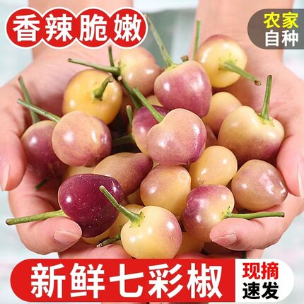 现摘广西七彩椒新鲜辣椒5斤蔬菜五彩椒泡椒小灯笼椒米椒包邮特10