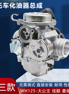 踏板摩托车大公主 WH125T-3A-5A-6佳颖 喜俊 喜致 酷影 化油器
