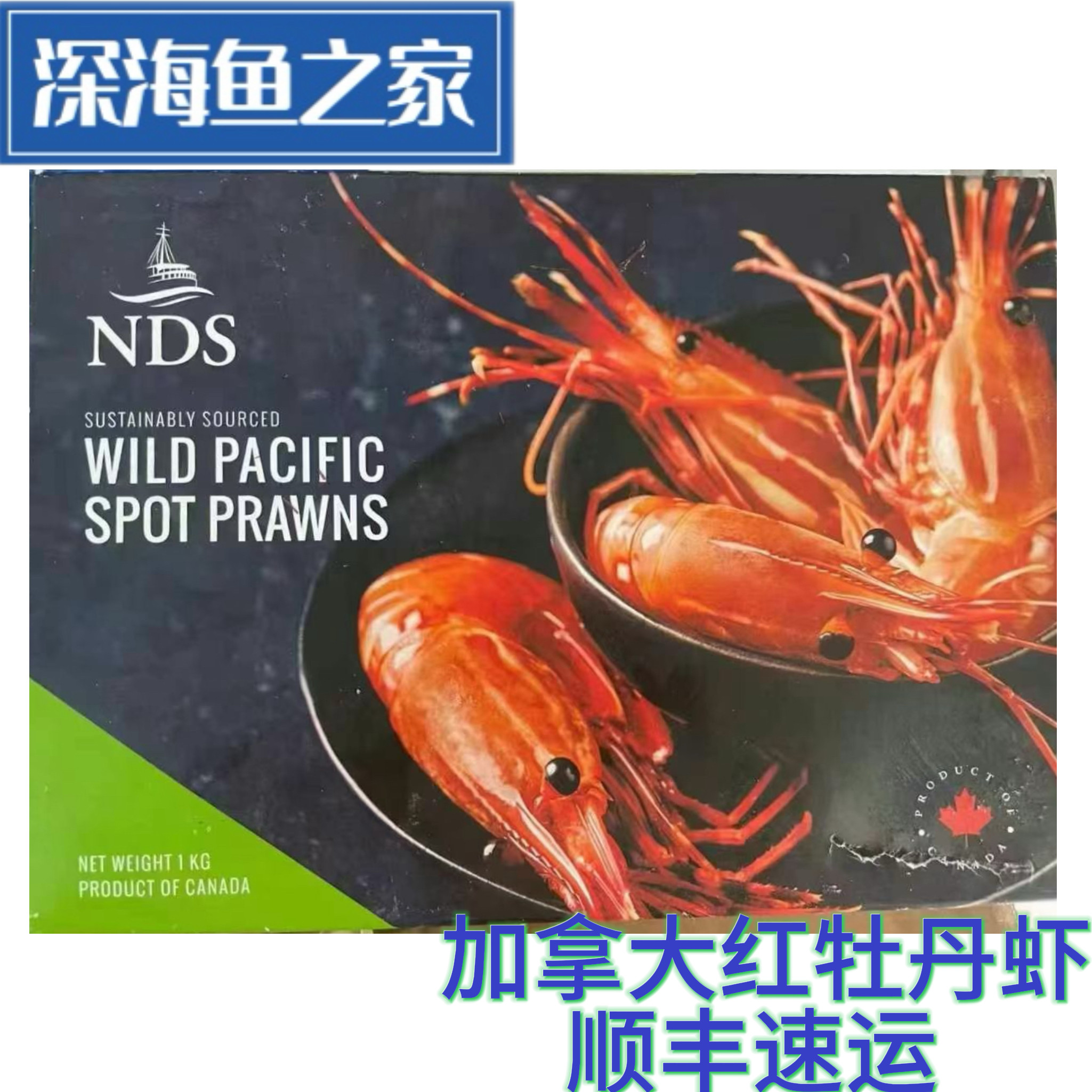 1kg超低温冷冻加拿大红牡丹虾斑点虾 日料刺身食材 海鲜水产图片