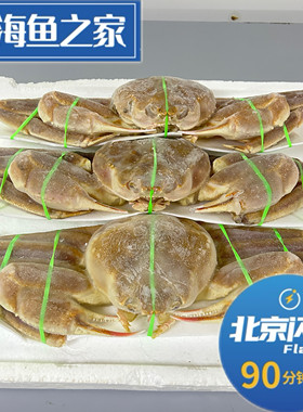 北京闪送 800-1100g/只 生冻松叶蟹 冷冻长脚蟹板蟹 冻海蟹