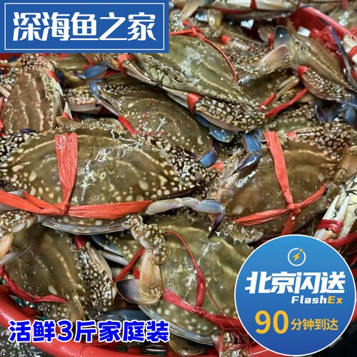 北京闪送 3斤一份 梭子蟹活鲜家庭装 满黄满肉随心选
