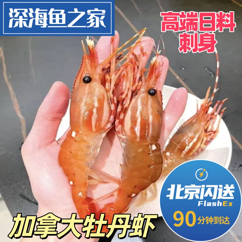 北京闪送 1kg加拿大进口红牡丹虾 日料刺身海鲜水产 甜虾鳌虾冷冻图片