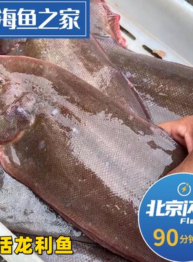 北京闪送 鲜活鳎目鱼 龙利鱼 舌头鱼新鲜海鲜水产踏板鱼比目鱼