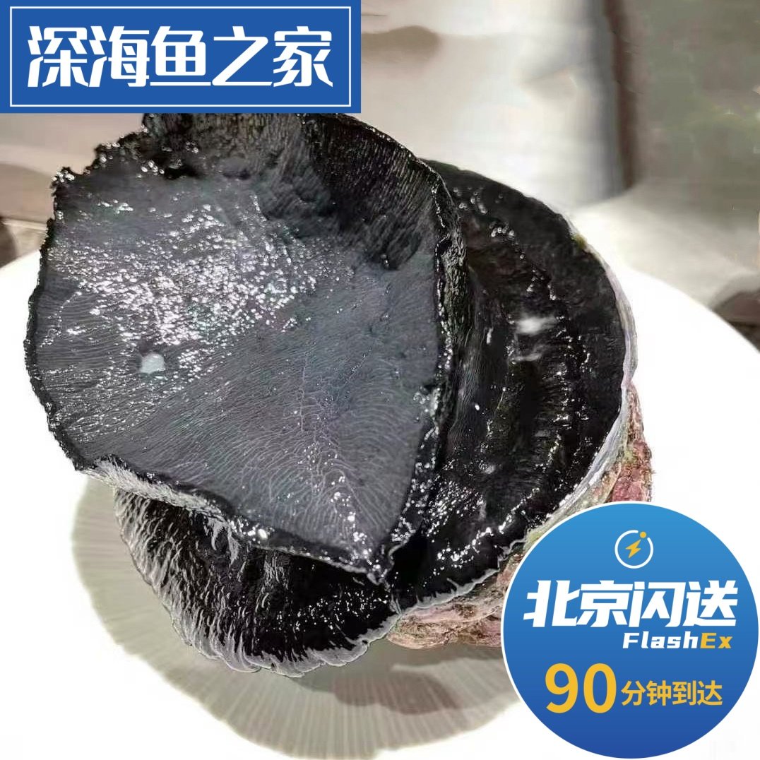北京闪送 1-2斤新西兰黑金鲍鱼 鲜活整只带壳 刺身级即食进口海鲜