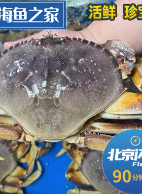 北京闪送2-3斤/只活珍宝蟹太子蟹面包蟹螃蟹海鲜水产保鲜不保活