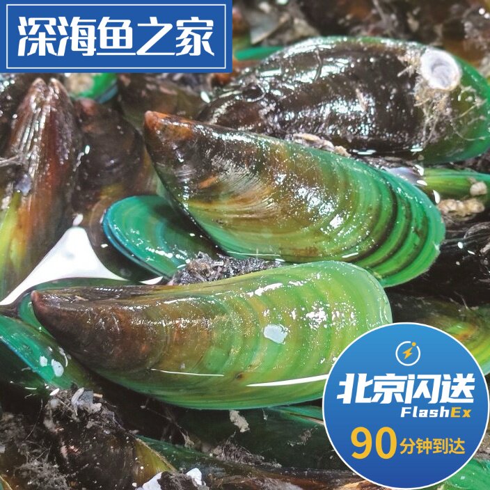 北京闪送 5-7只500g鲜活新西兰青口贝 绿贻贝海鲜水产 翡翠贝