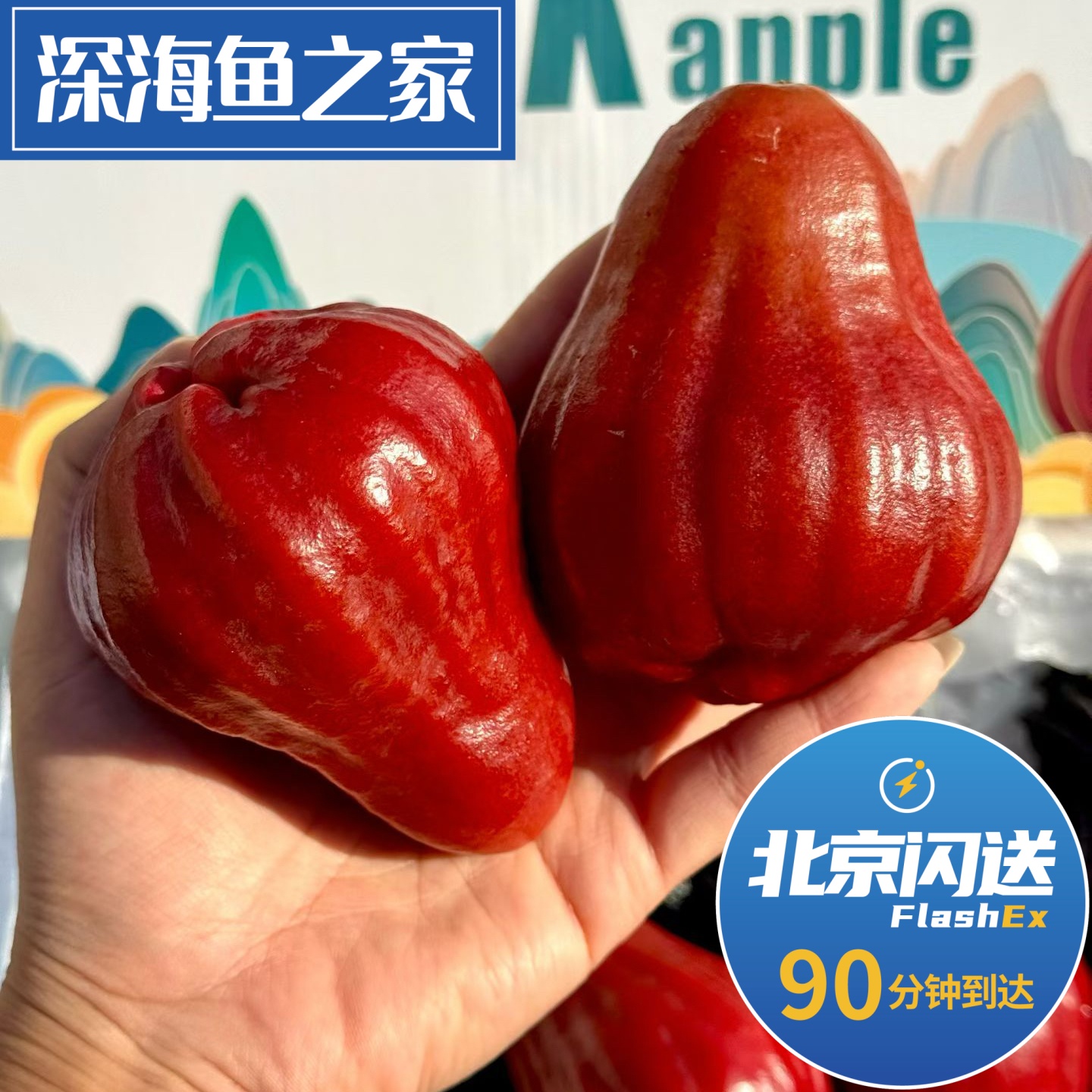 北京闪送 黑糖芭比莲雾 3斤水果礼盒 解渴有治愈的果子