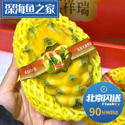 北京闪送 金麒麟真祥瑞燕窝果  6粒水果礼盒