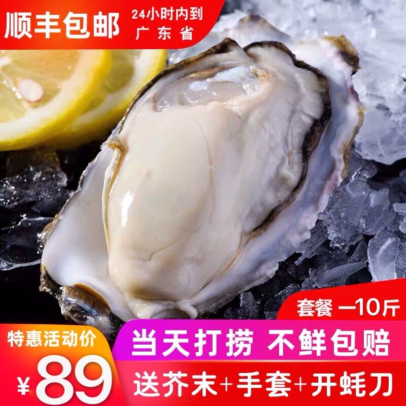 广东野生生蚝鲜活大牡蛎即食海鲜生蚝