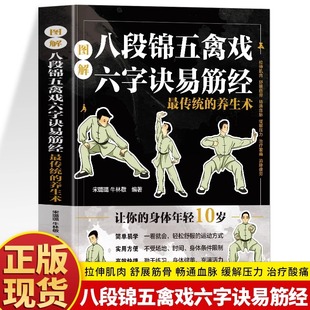 中医养生健身气功八段锦易筋经教材调理身体 养生术 中老年强身健体拳法教程武术健身书籍 最传统 图解八段锦五禽戏六字诀易筋经
