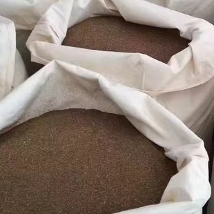 云南优质龙胆草种子1kg装