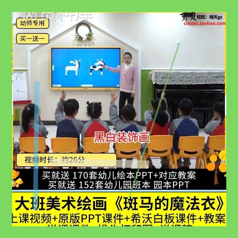 幼儿园优质公开课大班美术绘画斑马的魔法衣视频PPT课件希沃教案3