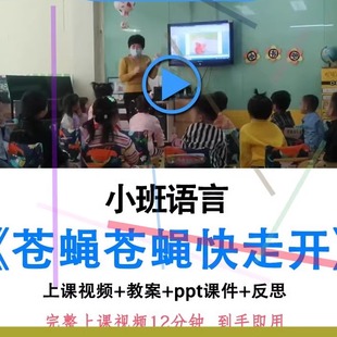 幼儿园优质课公开课小班语言《苍蝇苍蝇快走开》ppt课件教案视频.