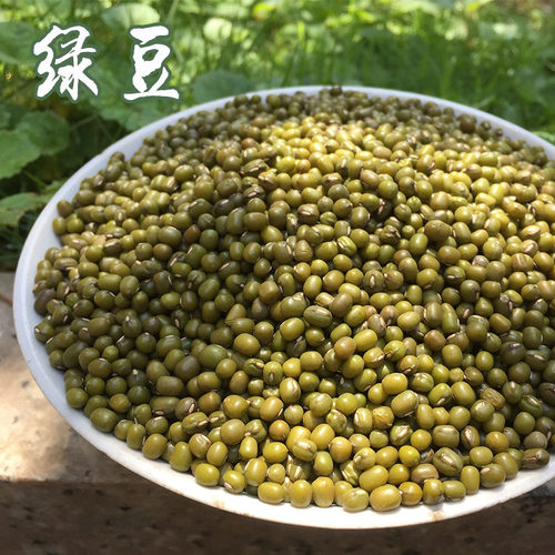 2026年农家绿豆汤新鲜500克