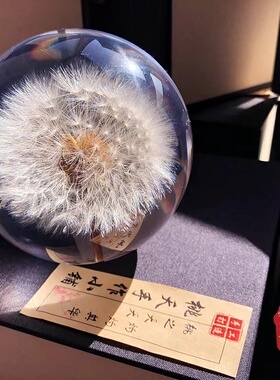 【桃夭手作】蒲公英水晶球手工制作标本树脂情侣礼物家装顺丰包邮