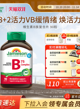 Jamieson/健美生 1.09g*90粒 维生素B族复合片