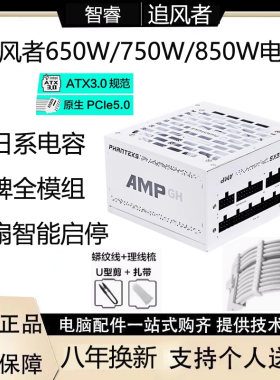 追风者AMP GH/BH 650W750W850W1000W1200W金牌全模组电源日系电容