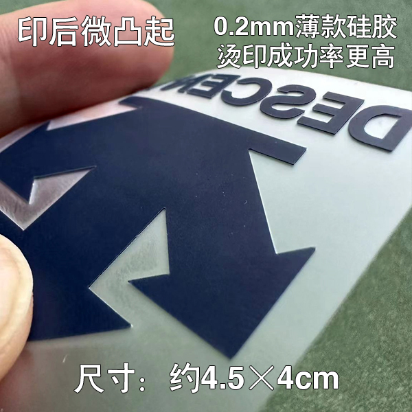 迪桑特logo印刷衣服DIY服装印花