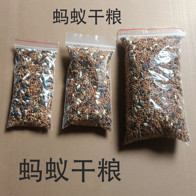 原生工匠蚂蚁针毛收获食物混合种子饲料粮食新手蚂蚁饲料粮食