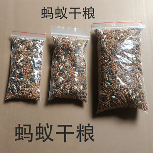 原生工匠蚂蚁针毛收获食物混合种子饲料粮食新手蚂蚁饲料粮食