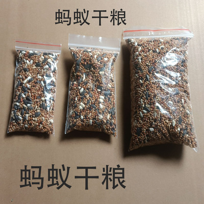 无无蚂蚁食物蚁专用食物