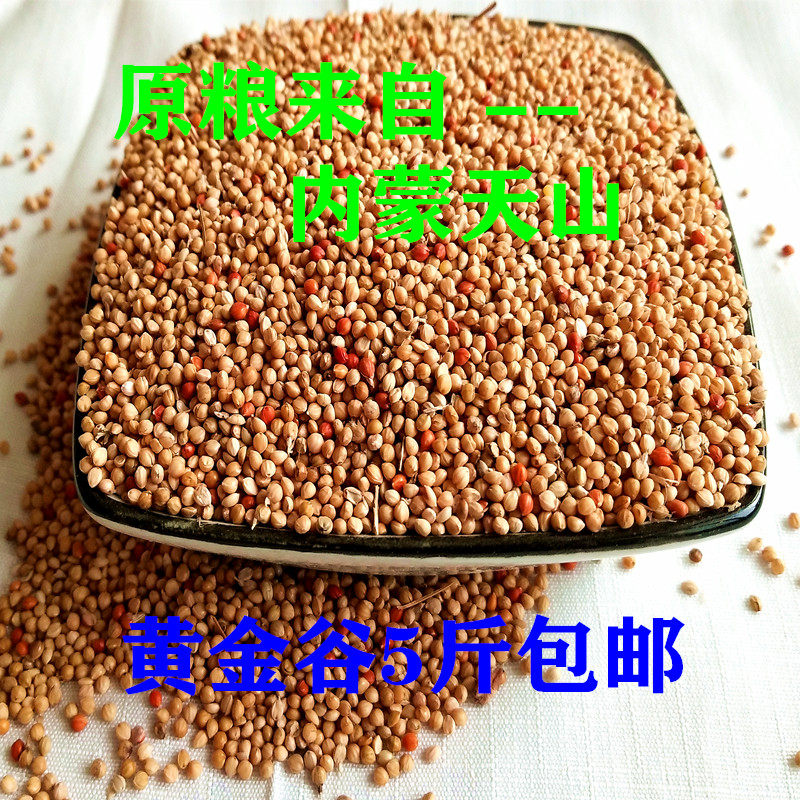 当年新黄谷子带壳小米虎皮鹦鹉饲特色米/面粉/杂粮