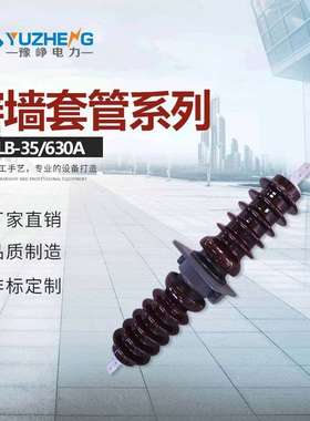 35KV穿墙套管 CLB.CWLB-35/2000A高压铝导体陶瓷穿墙