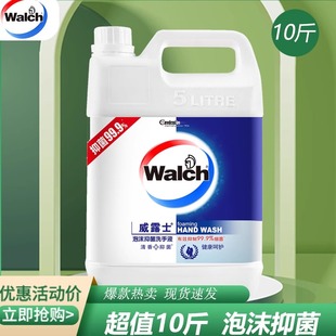 威露士泡沫洗手液5L多香型抑菌酒店公共场合大桶装 超值速发 补充装