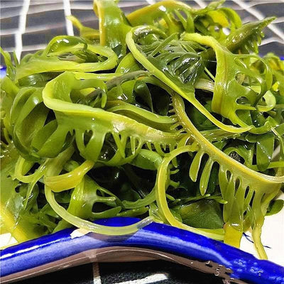 裙带菜凉拌煲汤补钙提鲜菜火锅海芽菜海白菜盐渍非干货500g包邮