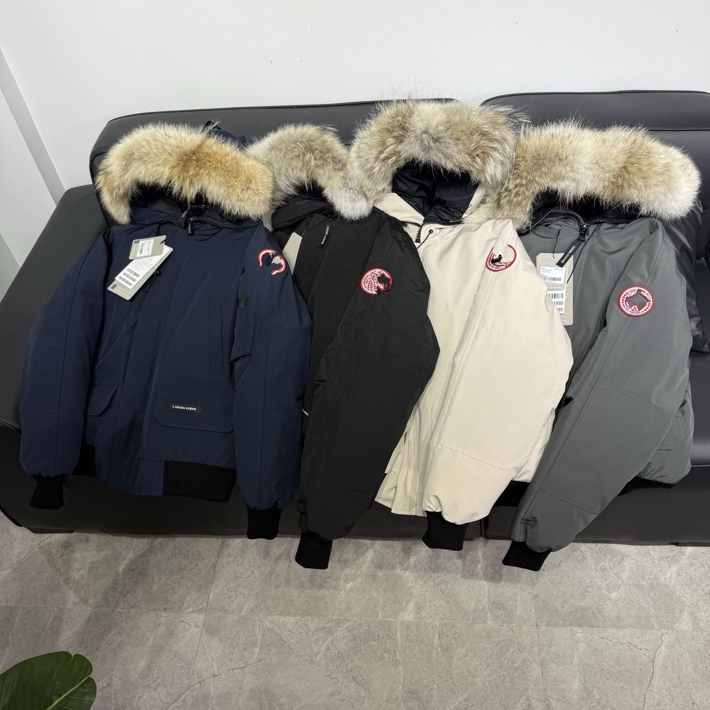 01莆田高端轻奢短款男女羽绒服跨境电商外贸出口外套户外休闲运动