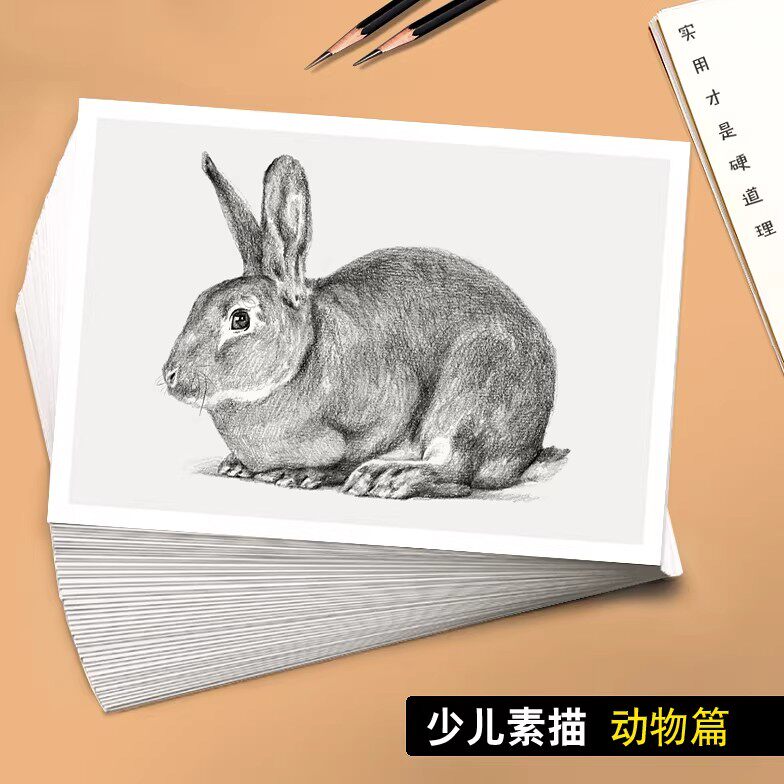 美术临摹卡少儿素描动物篇 绘画培训入门教学高清原创40张高清图