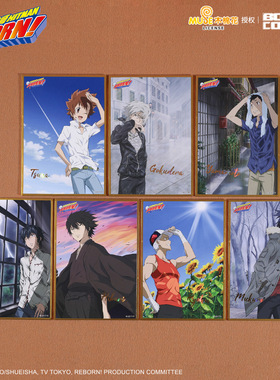 正版官谷家庭教师HITMAN REBORN! 工艺色纸 泽田纲吉白兰动漫周边