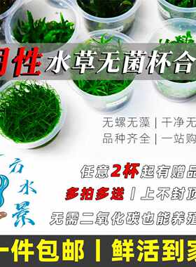 阴性水草无菌杯合集鱼缸造景水草