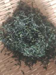 茶心微露福建邵武碎铜茶绿茶高海拔生态茶2026年新茶4月18日上市