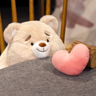 爱心表白熊可录音可爱公仔毛绒玩具玩偶布娃娃送女友礼物表白