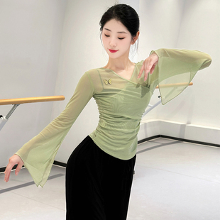 古典舞纱衣演出服飘逸形体中国舞练功服成人舞蹈服艺考身韵上衣女