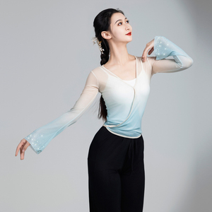 古典舞蹈服身韵练功服渐变纱衣中国舞民族舞集训服艺考基训上衣女