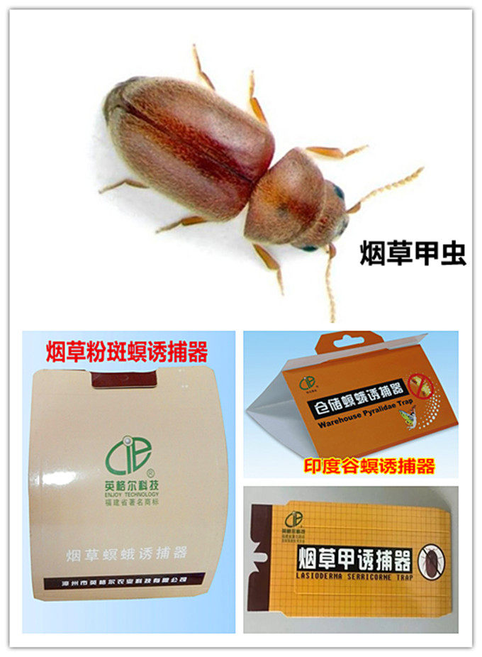 烟草甲虫印度谷螟烟草螟蛾粉斑螟衣蛾诱捕器性诱剂诱芯诱虫板粘板