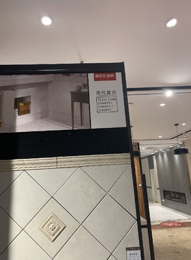 诺贝尔瓷砖CN24960 CN21960 CN54960 24960YL1/YL2 TL150-24960