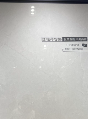 诺贝尔瓷砖H1809658规格900*1800瓷抛砖