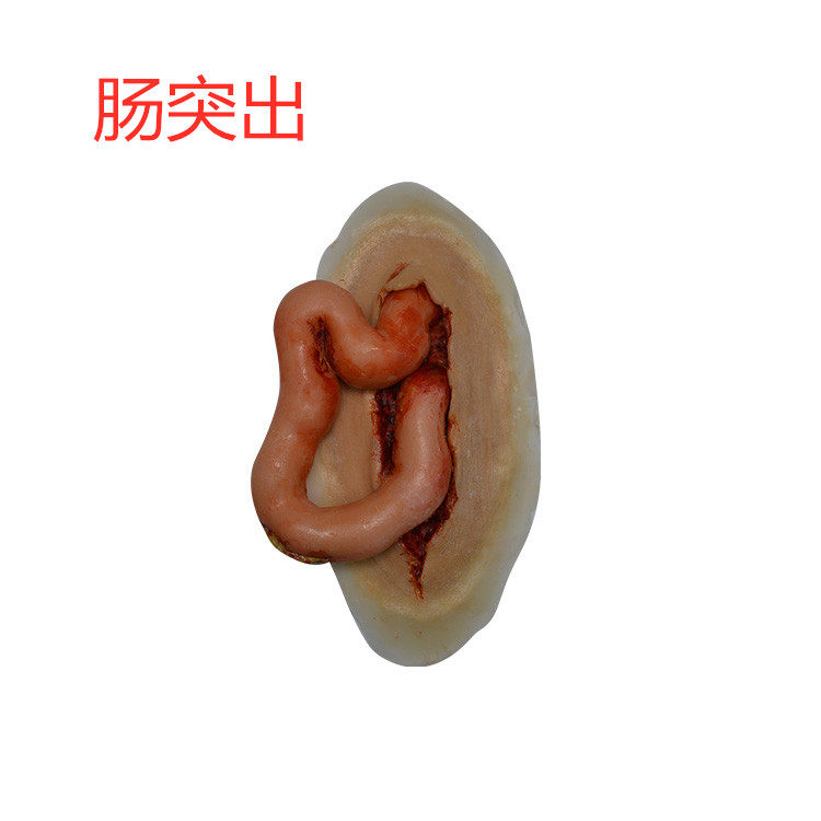 影视特效化妆中国肠脱出柠奈模具
