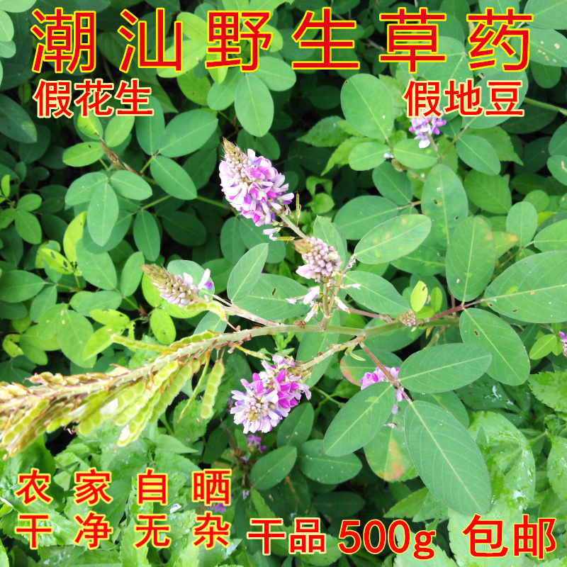 特价野生新鲜草药 假地豆 野花生 狗尾花大青叶 山花生大叶青 50