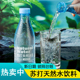 清爽健康运动补水饮品 24瓶装 苏打水苏打天然水0脂0卡350ml